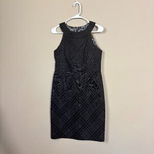 Muse Black Textured Fit-and-Flare Dress with Patterned Lining - Size 6